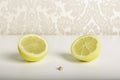 Gyn lemon fresh juicy Royalty Free Stock Photo