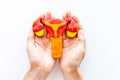 Gynecologist holds woman reproductive system model. Women health care concept