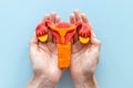 Gynecologist holds woman reproductive system model. Women health care concept