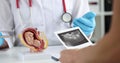 Gynecologist shows woman mockup of baby fetus in clinic