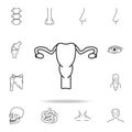 Gynecology icon uterus. Detailed set of human body part icons. Premium quality graphic design. One of the collection icons for web