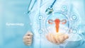 Gynecology medical concept. Women`s health. Doctor holding in hand the hologram of Female reproductive system and medicine icons