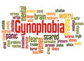 Gynophobia fear of women word cloud concept 2