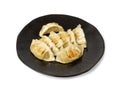 Gyoza Chinese Dumplings Isolated, Fried Vegetable Jiaozi, Chicken Momo Pile, Asian Gyoza Group Royalty Free Stock Photo