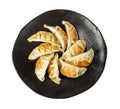 Gyoza Chinese Dumplings Isolated, Fried Vegetable Jiaozi, Chicken Momo Pile, Asian Gyoza Group Royalty Free Stock Photo