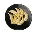 Gyoza Chinese Dumplings on Plate Isolated, Vegetable Jiaozi, Chicken Momo Pile, Asian Gyoza Group Royalty Free Stock Photo