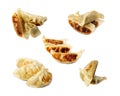 Gyoza Chinese Dumplings Set Isolated, Fried Vegetable Jiaozi, Chicken Momo Pile, Asian Gyoza Group