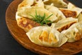 Gyoza Chinese Dumplings on Wood Plate, Fried Vegetable Jiaozi Macro, Chicken Momo Pile, Asian Gyoza Closeup Royalty Free Stock Photo