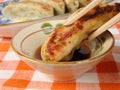 Gyoza-close-up 2