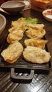 Gyoza Dumpling