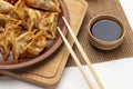 Gyoza dumplings and chopsticks on ceramic plate Royalty Free Stock Photo