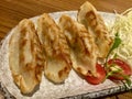Gyoza Meal. Japanese