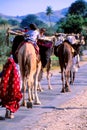 Gypsies in Jaisalmer, India