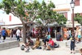 Gypsies and tourists, Saintes Maries de la Mer, France Royalty Free Stock Photo