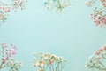 Gypsophila Baby`s-breath flowers on pastel background