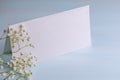 Gypsophila branch and a sheet of paper on a blue background. Postcard with a field for text. Congratulations on international