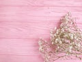 Gypsophila flower elegant anniversary minimalism celebration decor on wooden background