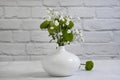 Gypsophila flower fragrant elegant a vase on a brick background