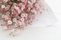 Gypsophila flowers or known as `baby breath` Royalty Free Stock Photo