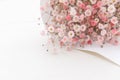 Gypsophila flowers or known as `baby breath` Royalty Free Stock Photo