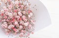 Gypsophila flowers or known as `baby breath` Royalty Free Stock Photo