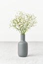 Gypsophila flowers in a vase. Soft light, Scandinavian minimalism