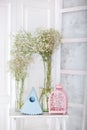 Gypsophila flowers in vases on table. Vintage birdcages, blue birdhouse and gypsophila bouquets in transparent glass vases. Spring