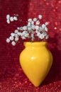 Gypsophila flowers in a yellow vase on a red background.