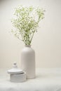 Gypsophila. Spring is coming concept. Flowers and candies. Modern ceramic vase with gypsophila.Scandinavian interior.