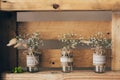 Gypsophila three jars