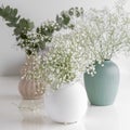 Gypsophila in vase. Three vases with flowers. Eucalyptus. Poster.