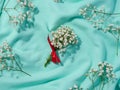 Gypsophilia branch with white flowers on a green background, top view