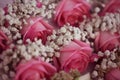 Gypsophilla and pink roses Royalty Free Stock Photo