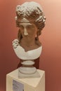 Adonis bust copy in Odesa Museum of Western and Eastern Art, Odesa Ukraine