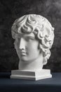 Gypsum copy of ancient statue Antinous head on dark textured background. Plaster sculpture man face. Royalty Free Stock Photo