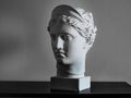 Gypsum copy of ancient statue Diana head on a dark textured back. Plaster sculpture woman face