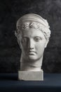 Gypsum copy of ancient statue Diana head on a dark textured background. Plaster sculpture woman face.