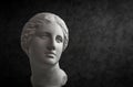 Gypsum copy of ancient statue Venus head on a dark textured background. Plaster sculpture woman face.