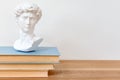 Gypsum copy of David`s head on a bookshelf. Michelangelo`s David plaster copy bust standing on books. Ancient greek