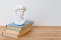 Gypsum copy of David`s head on a bookshelf. Michelangelo`s David plaster copy bust standing on books. Ancient greek