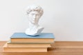 Gypsum copy of David`s head on a bookshelf. Michelangelo`s David plaster copy bust standing on books. Ancient greek Royalty Free Stock Photo