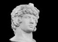 Gypsum copy of famous ancient statue Antinous head isolated on a black background. Plaster antique sculpture young man Royalty Free Stock Photo