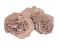 Gypsum desert sand rose Royalty Free Stock Photo