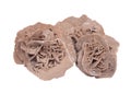 Gypsum desert sand rose Royalty Free Stock Photo