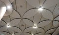 Gypsum false ceiling with flower petal design interiors at mumbai airport