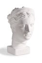 Gypsum head of the ancient Greek goddess Diana