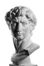 Gypsum head of Michelangelo's David