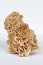 Gypsum mineral isolated Royalty Free Stock Photo