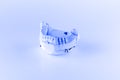 Gypsum model of artificial teeth Royalty Free Stock Photo