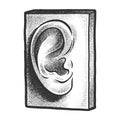 gypsum plaster ear sketch vector illustration Royalty Free Stock Photo